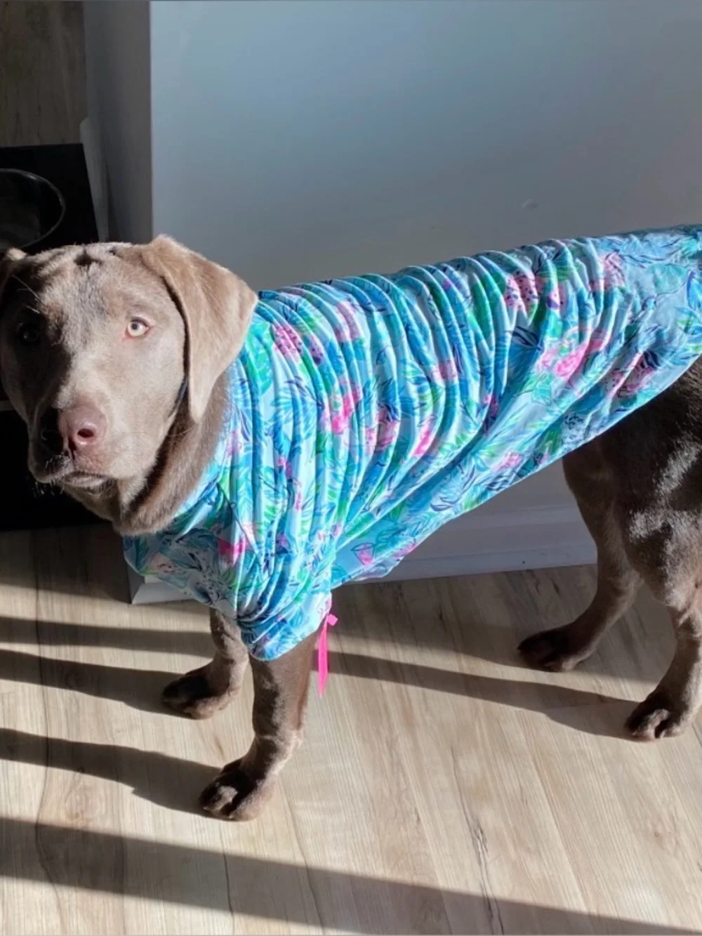 Lilly Pulitzer, dog pajamas - Picture 1 of 7